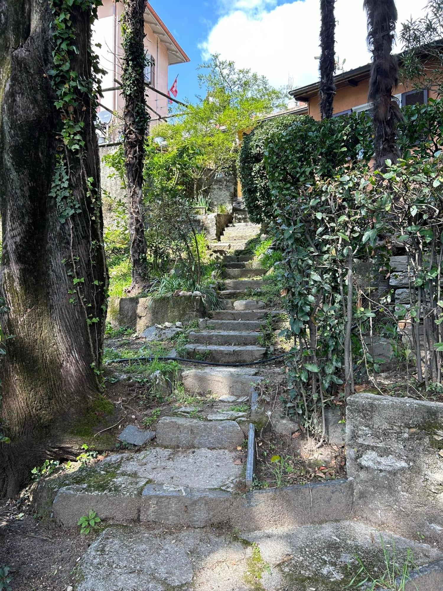 Pensione Olanda ロカルノ エクステリア 写真